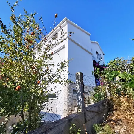 Ljubica Appartement Zavalatica