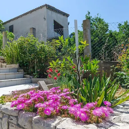 Ljubica Appartement *